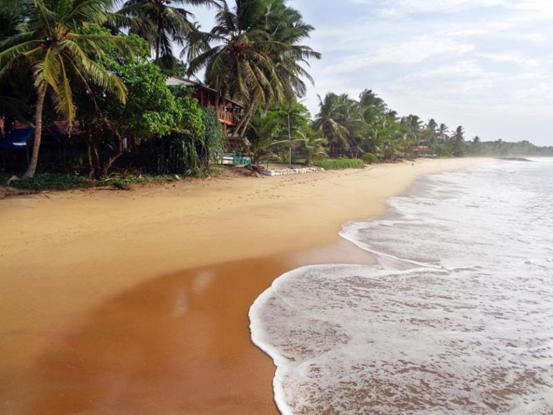 Reggae Zone Beach Resort Tangalle Exterior foto