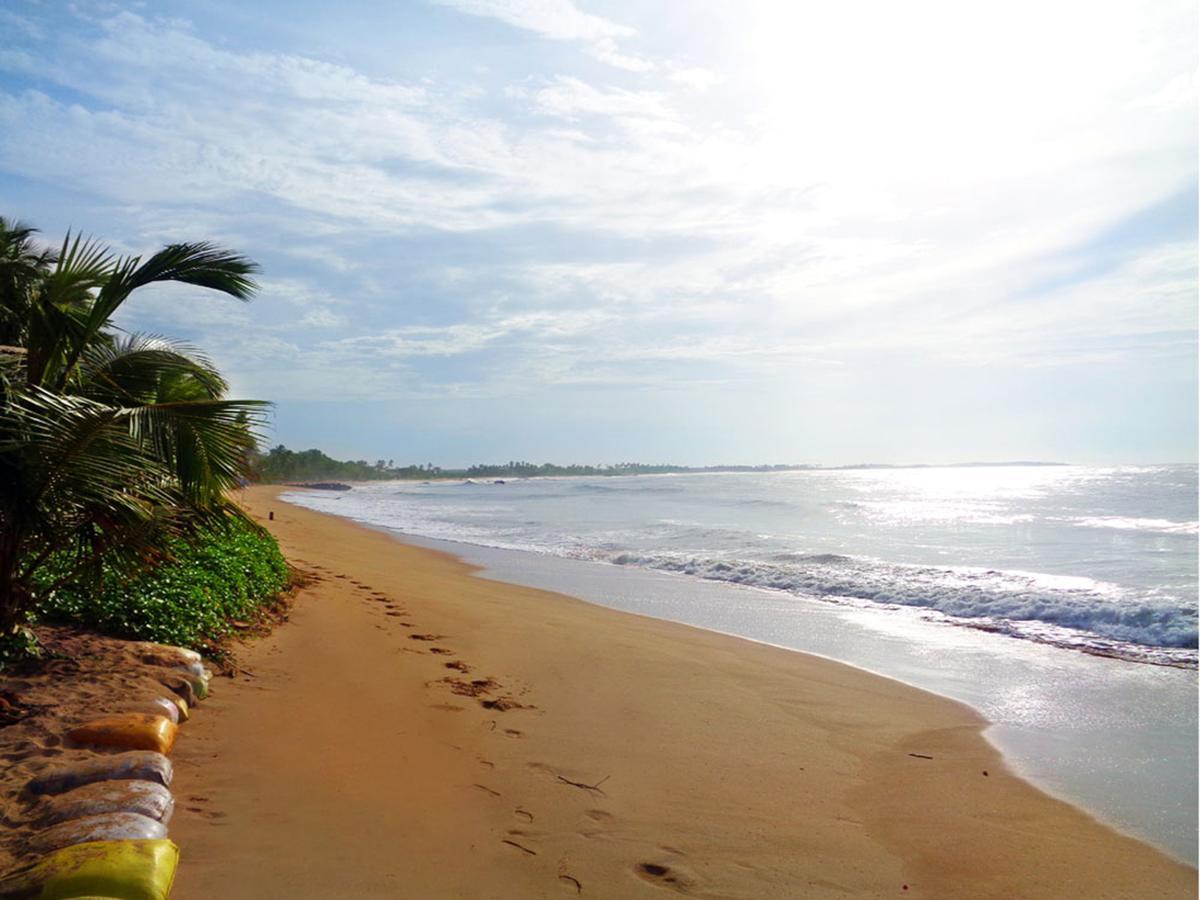 Reggae Zone Beach Resort Tangalle Exterior foto