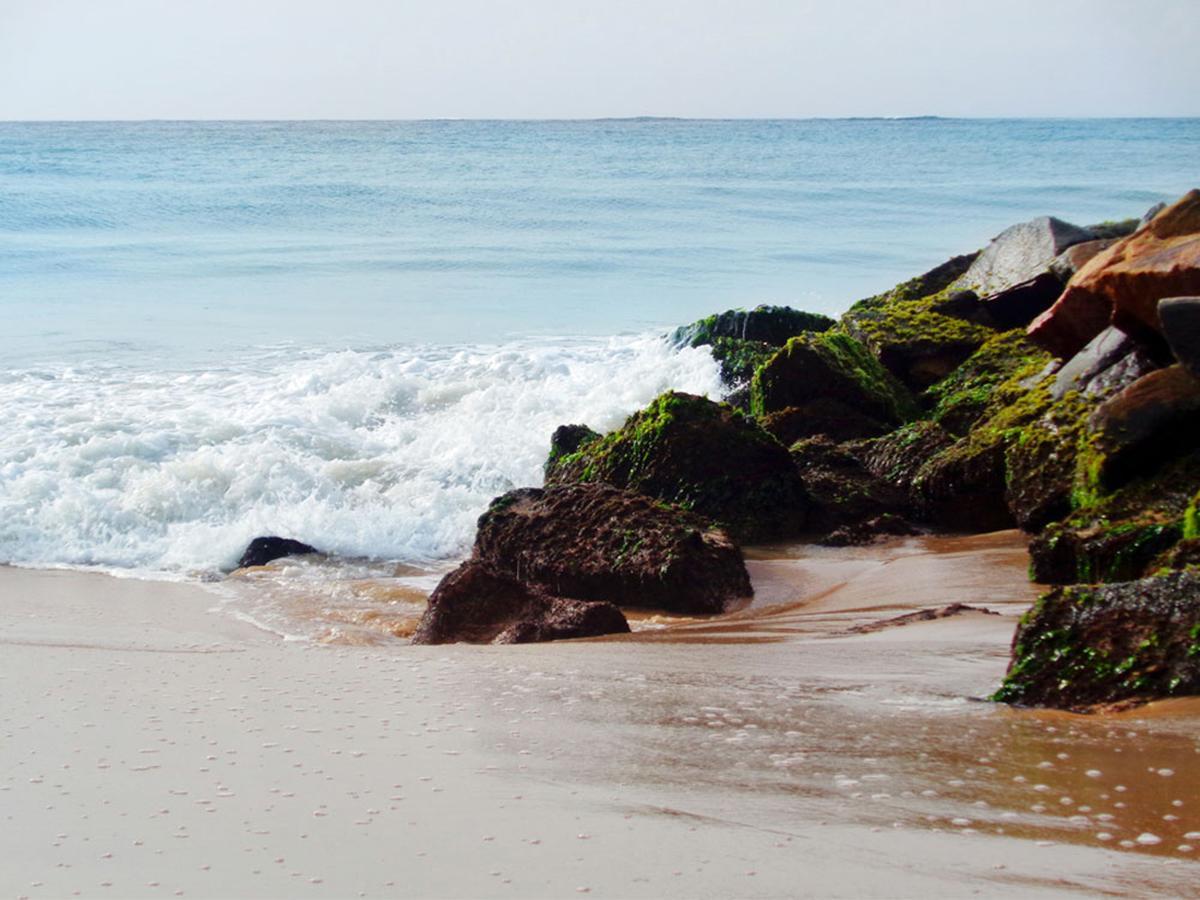 Reggae Zone Beach Resort Tangalle Exterior foto